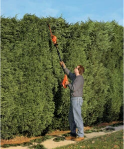 BLACK+DECKER LPHT120B 20V MAX Lithium-Ion 18 in. Cordless Pole Hedge Trimmer (Tool Only) -Cheap Black & Decker Store bdknlpht120b b